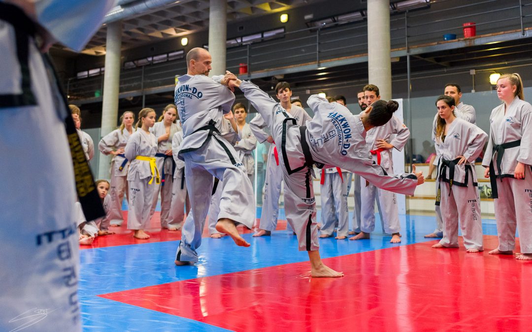Club Tae Alcoy Masterclass 40 aniversario