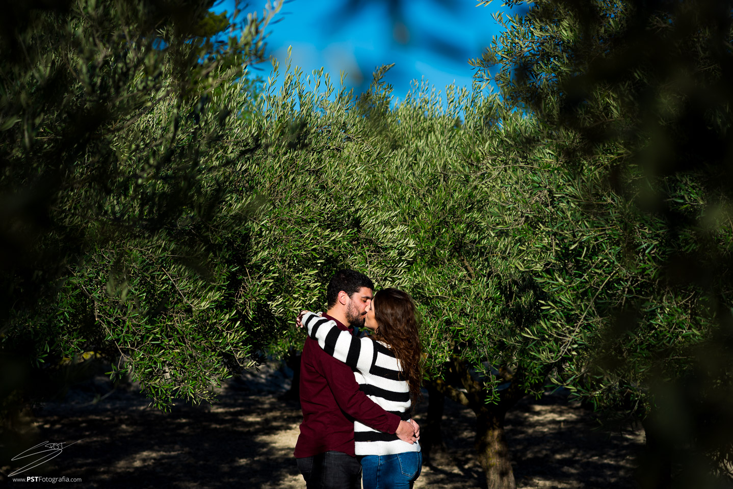Pareja se besa entre olivos. Preboda vespertina en Alcoy