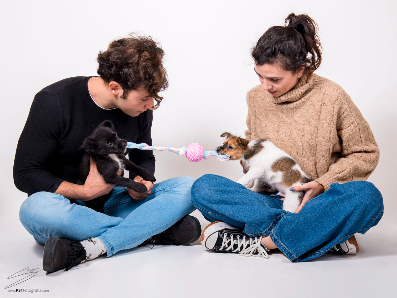 Cachorros jugando durante su sesión de fotos en Alcoy