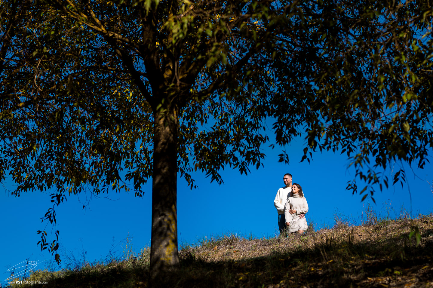 Preboda en exteriores, pareja abrazada bajo la silueta de las hojas de un árbol